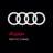 Audi_Sever