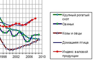 поголовье2.jpg