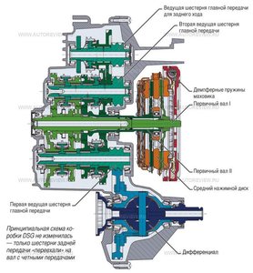 DSG-7.jpg