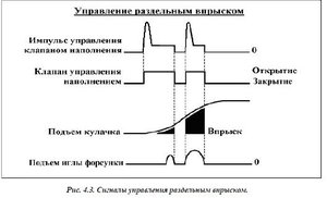 vprisk.JPG