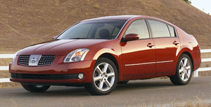 06-maxima-1.jpg