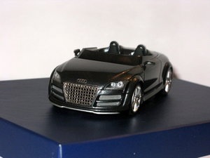 Audi TT Club Sport 2007 011.JPG