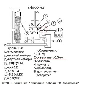 ляп1.jpg