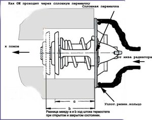 Термостат1.jpg