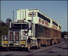 australian_road_train_220_220x180.jpg