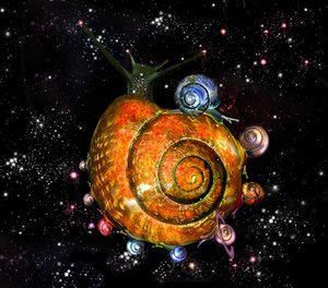 snail.jpg