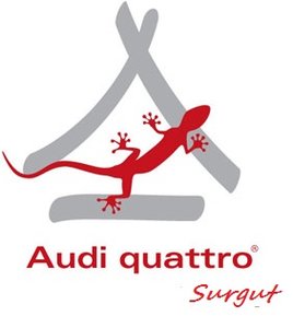 Audi-quattro-camp-logo.jpg