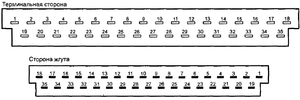 35 пиновый разьем ЭБУ разъемы.png