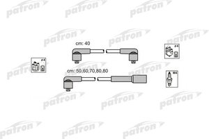 Patron_PSCI1010.JPG