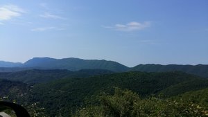 20170615_095130.jpg