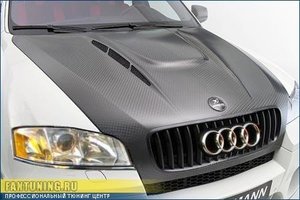 bmw-x5m-hamann-evo-1-3.jpg