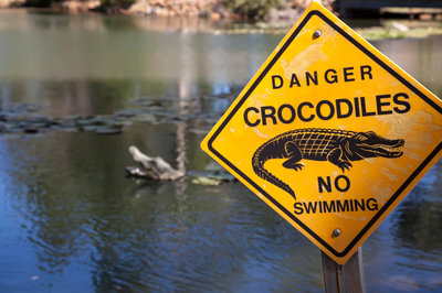 danger-crocodile.jpg