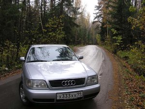 audi-forest.jpg