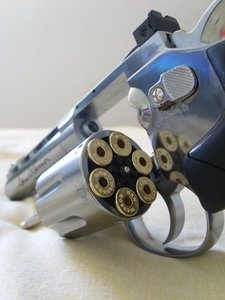 asg_dan_wesson_silver.jpg