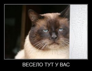 весело тут у вас.jpg