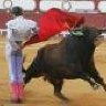 torero