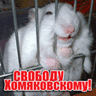 ХОМЯК