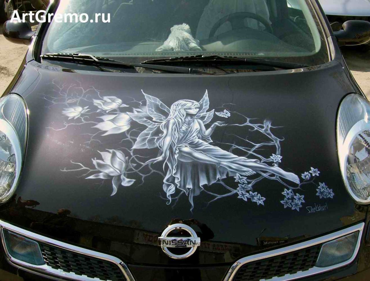 Аэрография на авто в Нижнем Новгороде