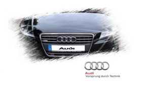 Audi a4b8 2.0tdi