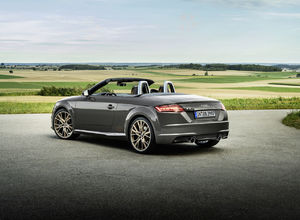 Audi TT Roadster bronze selection