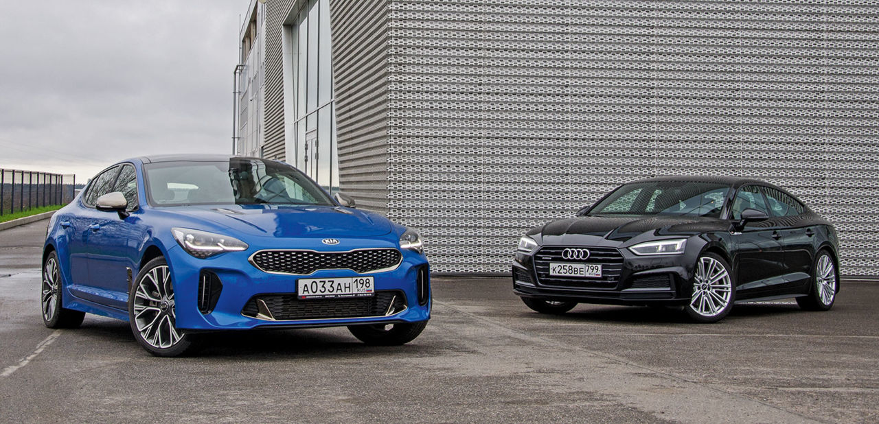 i - Audi A5 Sportback против Kia Stinger. Совокупность свойств | Ауди Клуб  Россия